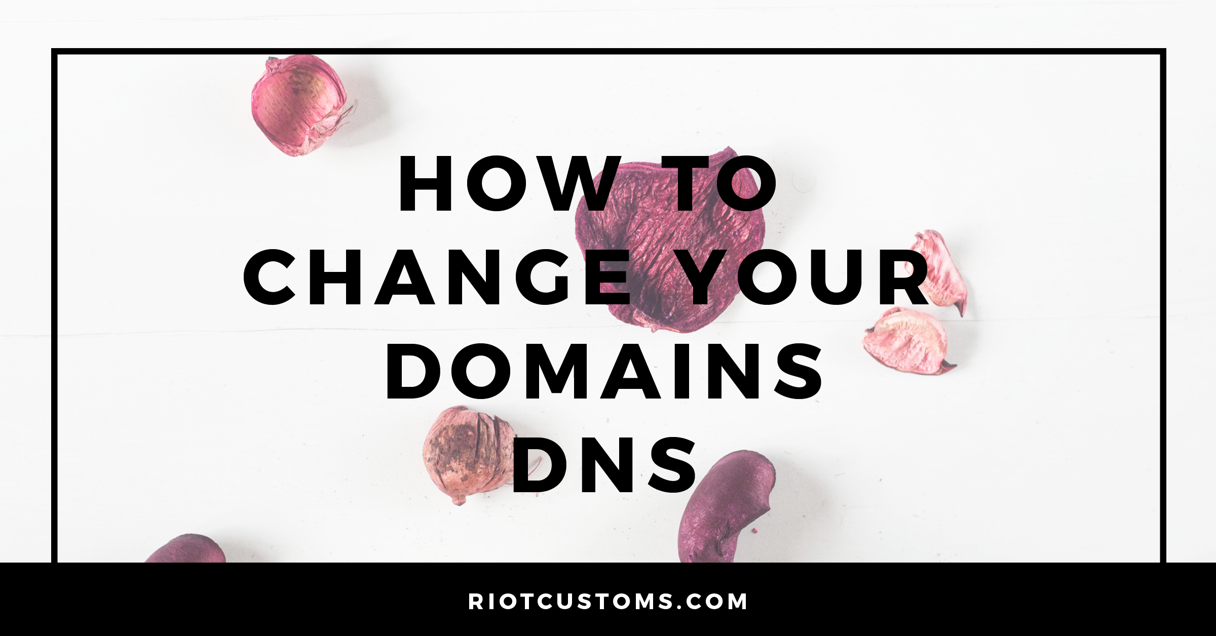 How To Change Your Domains DNS - Riot Customs